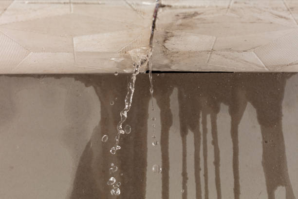 Professional Structural Drying technician working in Elkton, SD